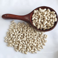 Wholesale Low Price Chinese Natural  Baishake White Kidney Beans